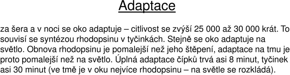 Obnova rhodopsinu je pomalejší než jeho štěpení, adaptace na tmu je proto pomalejší než na