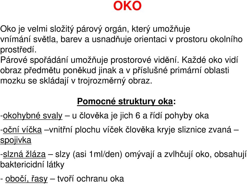 Každé oko vidí obraz předmětu poněkud jinak a v příslušné primární oblasti mozku se skládají v trojrozměrný obraz.