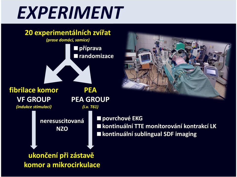 T61) neresuscitovaná NZO povrchové EKG kontinuální TTE monitorování