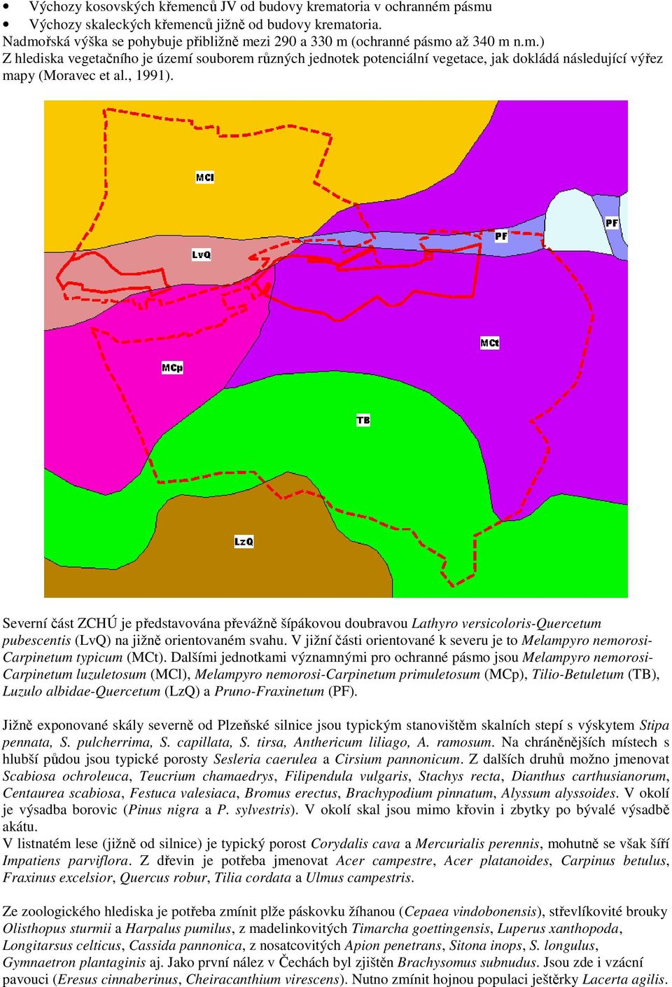 , 1991). Severní část ZCHÚ je představována převážně šípákovou doubravou Lathyro versicoloris-quercetum pubescentis (LvQ) na jižně orientovaném svahu.