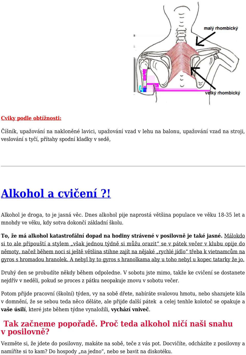 To, že má alkohol katastrofální dopad na hodiny strávené v posilovně je také jasné.