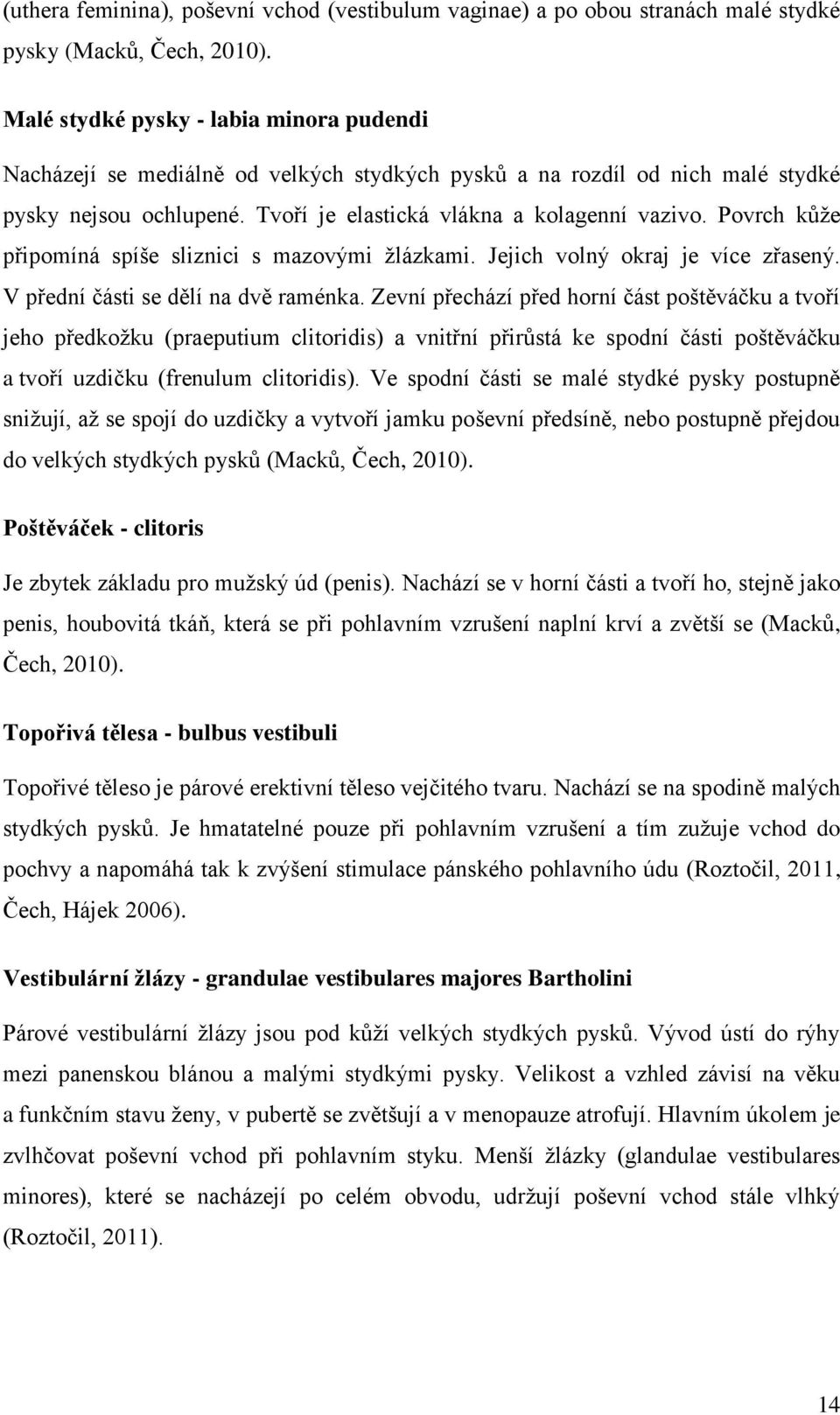 Povrch kůže připomíná spíše sliznici s mazovými žlázkami. Jejich volný okraj je více zřasený. V přední části se dělí na dvě raménka.