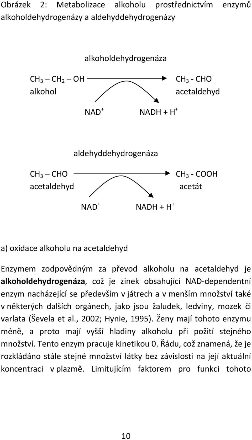 zinek obsahující NAD dependentní enzym nacházející se především v játrech a v menším množství také v některých dalších orgánech, jako jsou žaludek, ledviny, mozek či varlata (Ševela et al.