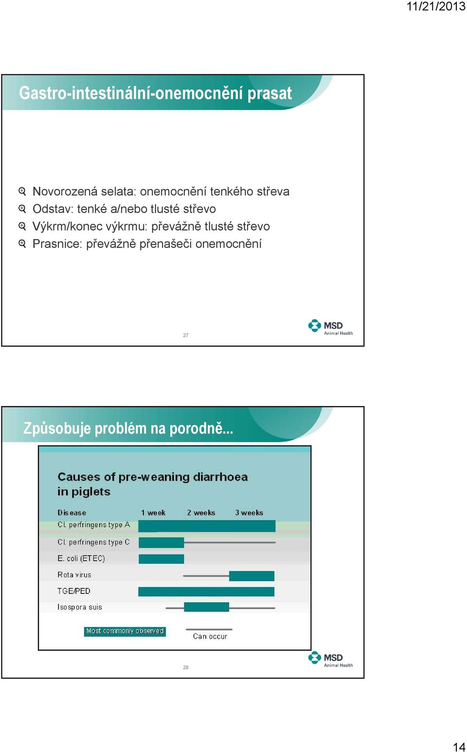 Výkrm/konec výkrmu: převážně tlusté střevo Prasnice: