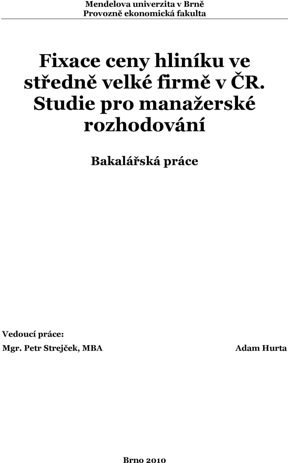 ČR. Studie pro manažerské rozhodování Bakalářská