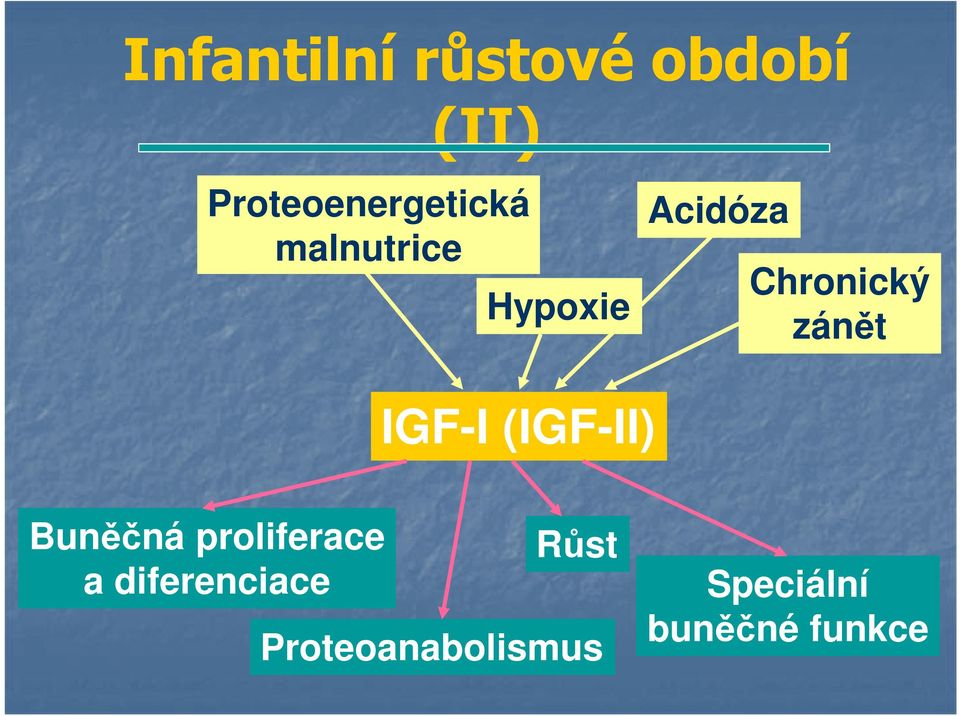 Chronický zánět IGF-I (IGF-II) Buněčná