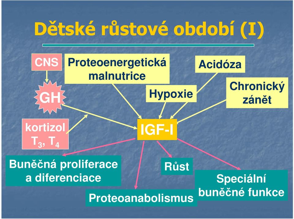 Acidóza Chronický zánět Buněčná proliferace a