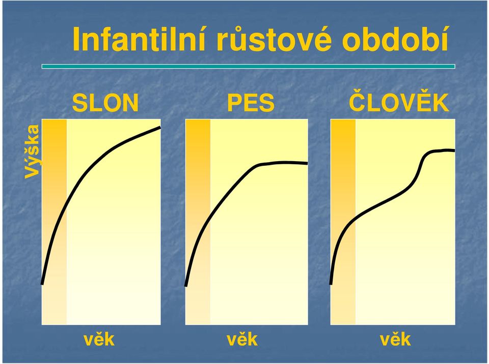 období SLON