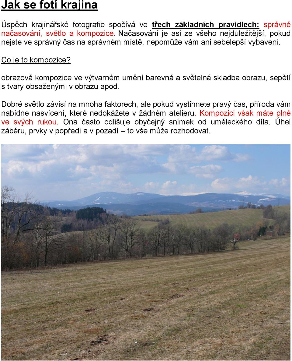 obrazová kompozice ve výtvarném umění barevná a světelná skladba obrazu, sepětí s tvary obsaženými v obrazu apod.