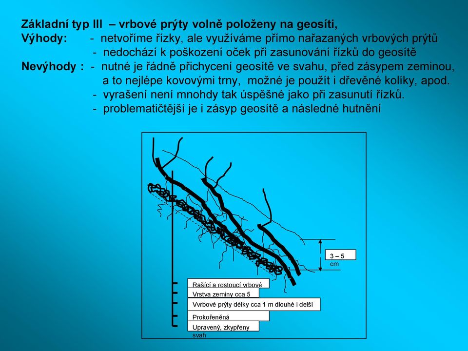 použít i dřevěné kolíky, apod. - vyrašení není mnohdy tak úspěšné jako při zasunutí řízků.