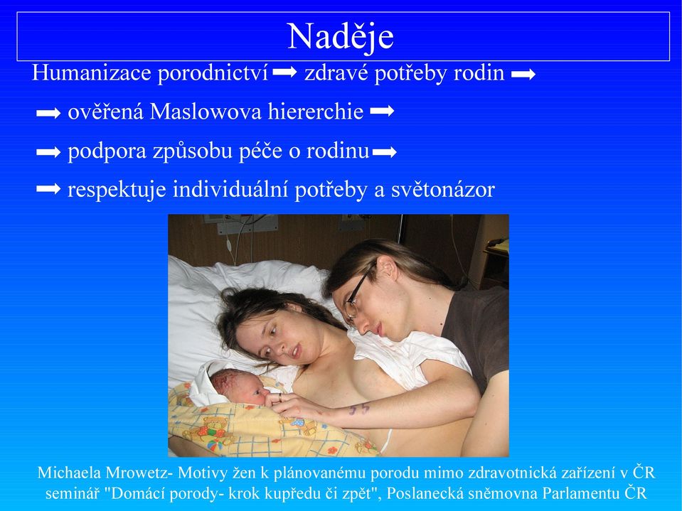 hiererchie podpora způsobu péče o