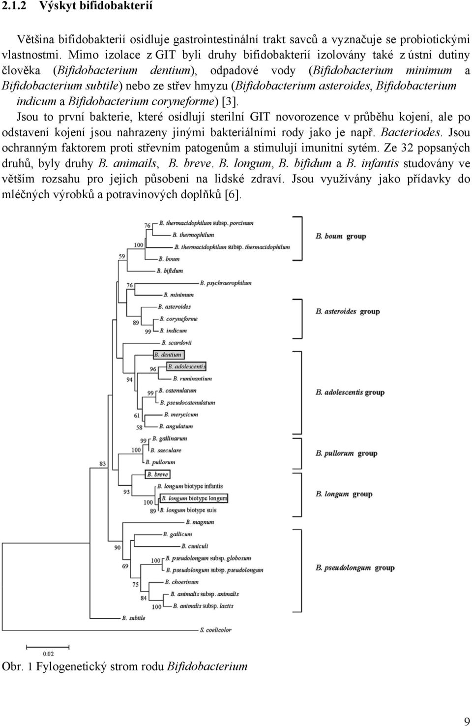 (Bifidobacterium asteroides, Bifidobacterium indicum a Bifidobacterium coryneforme) [3].