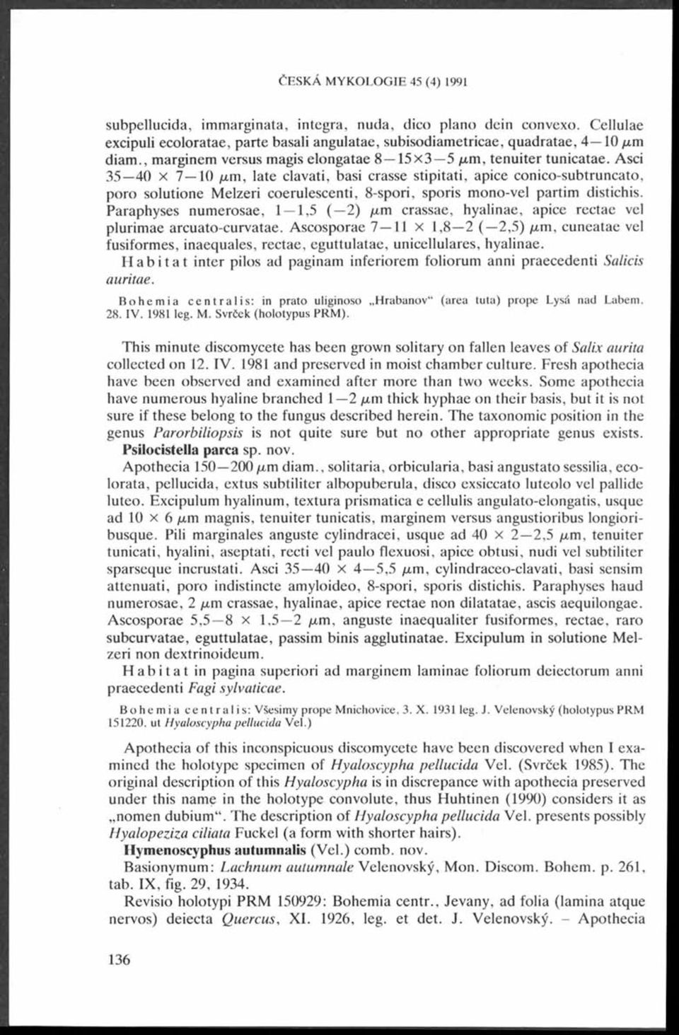 Asci 35 40 x 7 10 /xm, late clavati, basi crasse stipitati, apice conico-subtruncato, poro solutione Melzeri coerulescenti, 8-spori, sporis mono-vel partim distichis.