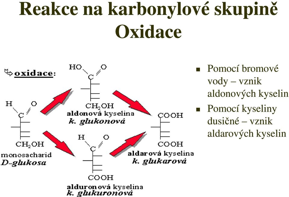 vznik aldonových kyselin Pomocí