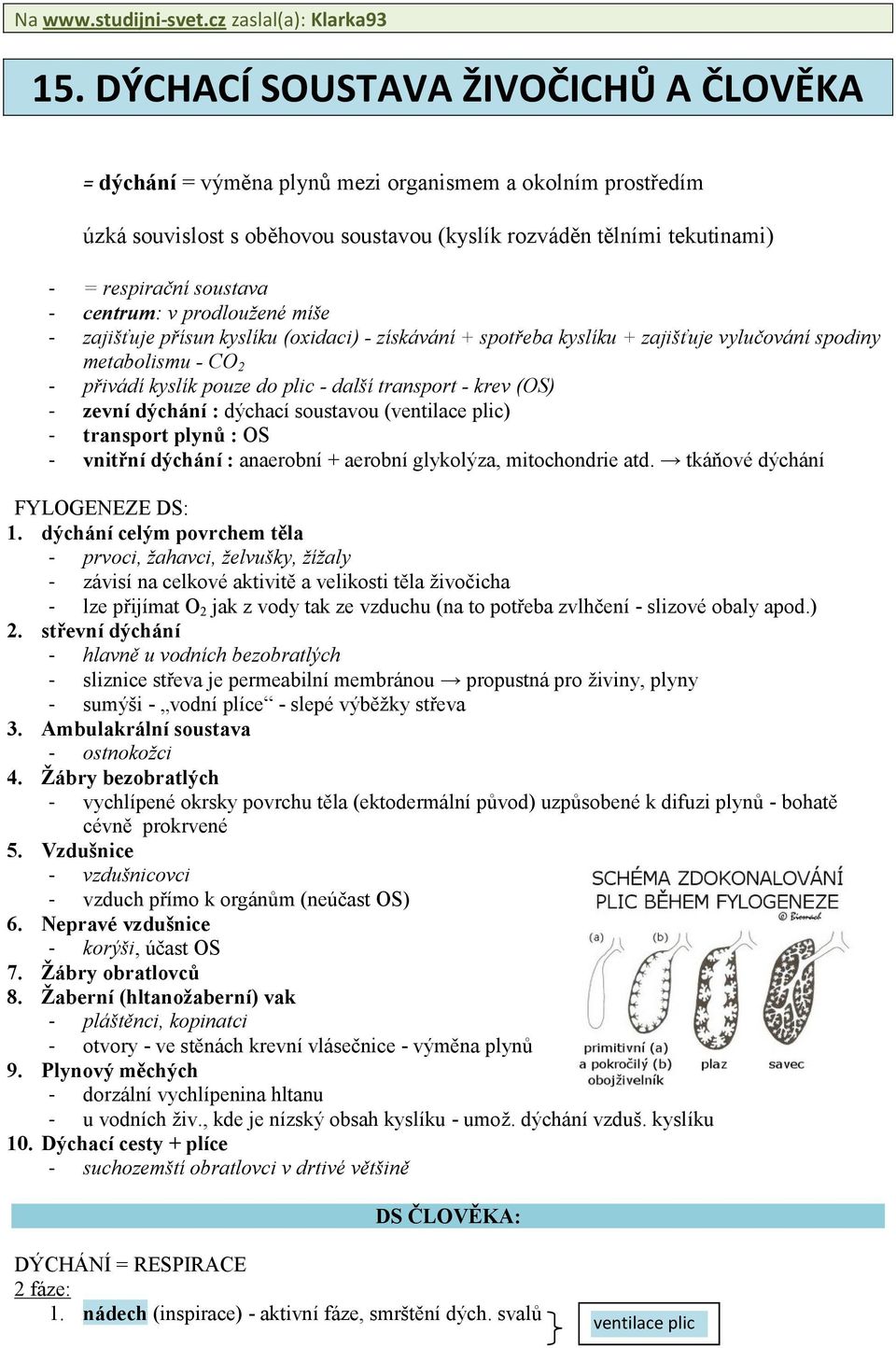 centrum: v prodloužené míše - zajišťuje přísun kyslíku (oxidaci) - získávání + spotřeba kyslíku + zajišťuje vylučování spodiny metabolismu - CO 2 - přivádí kyslík pouze do plic - další transport -