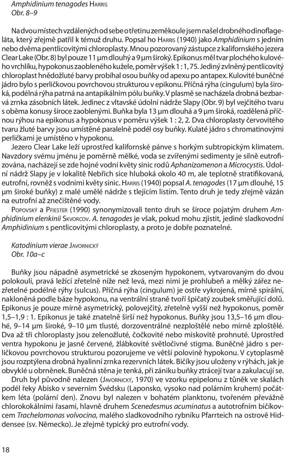 Epikonus měl tvar plochého kulového vrchlíku, hypokonus zaobleného kužele, poměr výšek 1 : 1, 75. Jediný zvlněný pentlicovitý chloroplast hnědožluté barvy probíhal osou buňky od apexu po antapex.