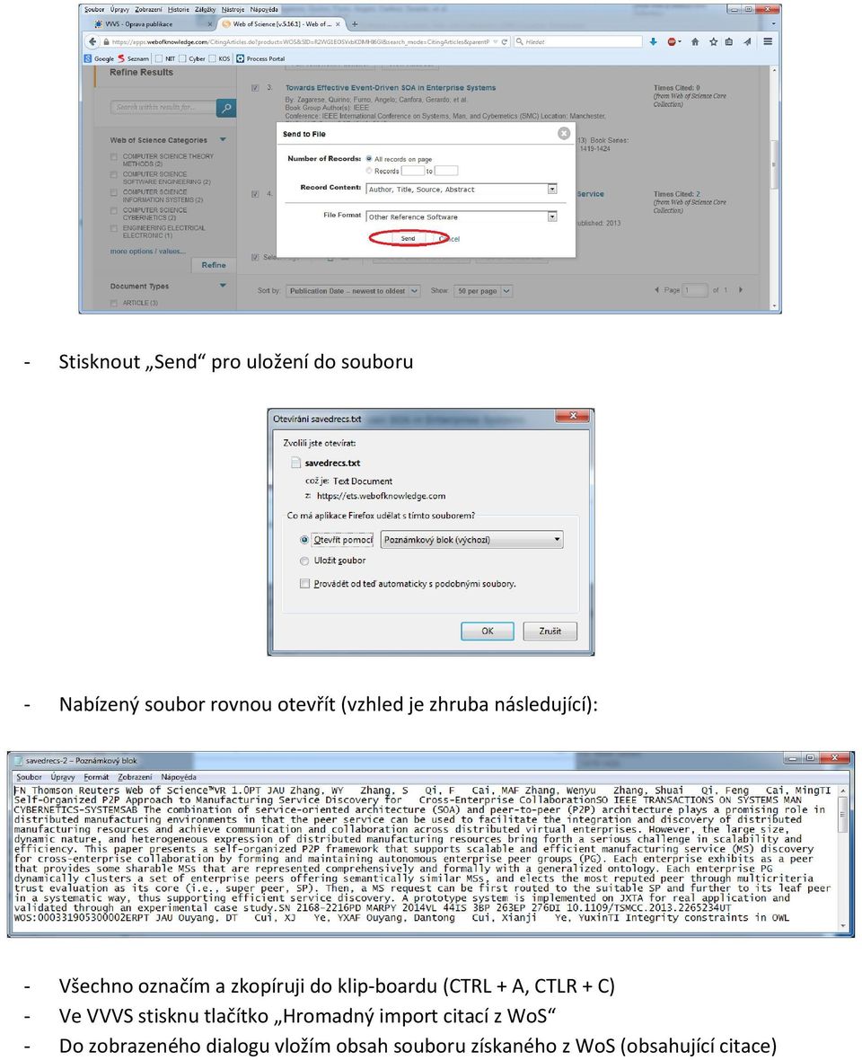 (CTRL + A, CTLR + C) - Ve VVVS stisknu tlačítko Hromadný import citací z WoS