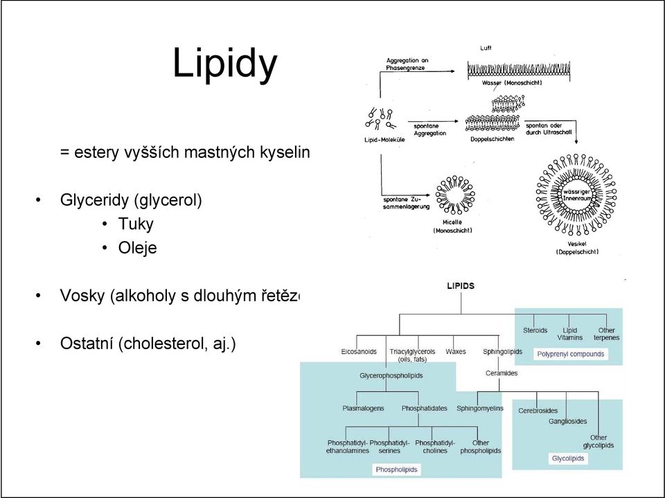 Oleje Vosky (alkoholy s dlouhým