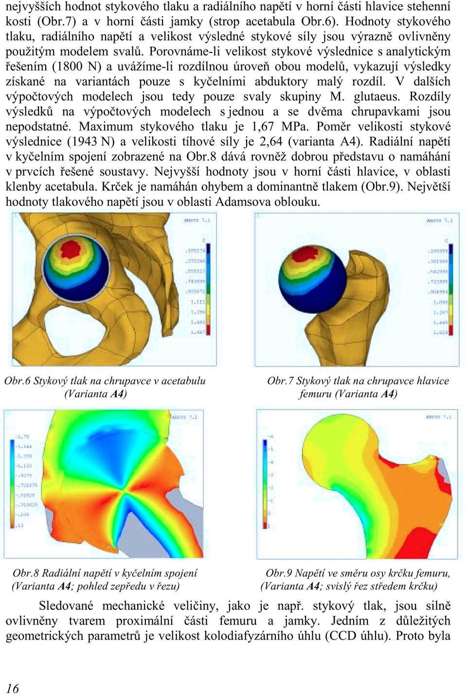 Porovnáme-li velikost stykové výslednice s analytickým řešením (1800 N) a uvážíme-li rozdílnou úroveň obou modelů, vykazují výsledky získané na variantách pouze s kyčelními abduktory malý rozdíl.