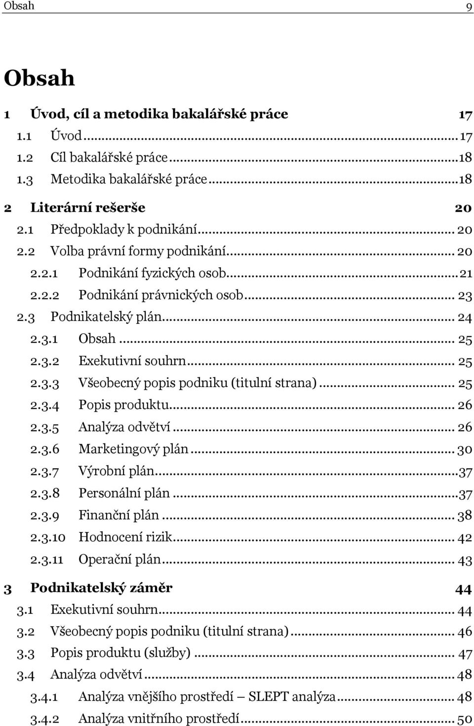 .. 25 2.3.4 Popis produktu... 26 2.3.5 Analýza odvětví... 26 2.3.6 Marketingový plán... 30 2.3.7 Výrobní plán...37 2.3.8 Personální plán...37 2.3.9 Finanční plán... 38 2.3.10 Hodnocení rizik... 42 2.