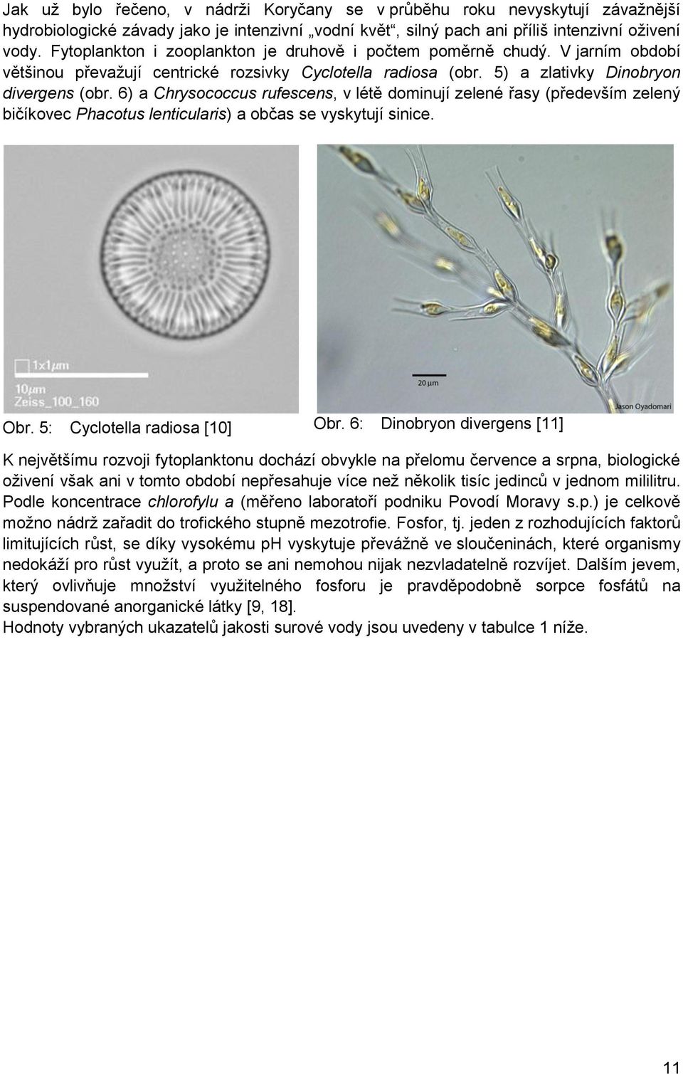 6) a Chrysococcus rufescens, v létě dominují zelené řasy (především zelený bičíkovec Phacotus lenticularis) a občas se vyskytují sinice. Obr. 5: Cyclotella radiosa [10] Obr.