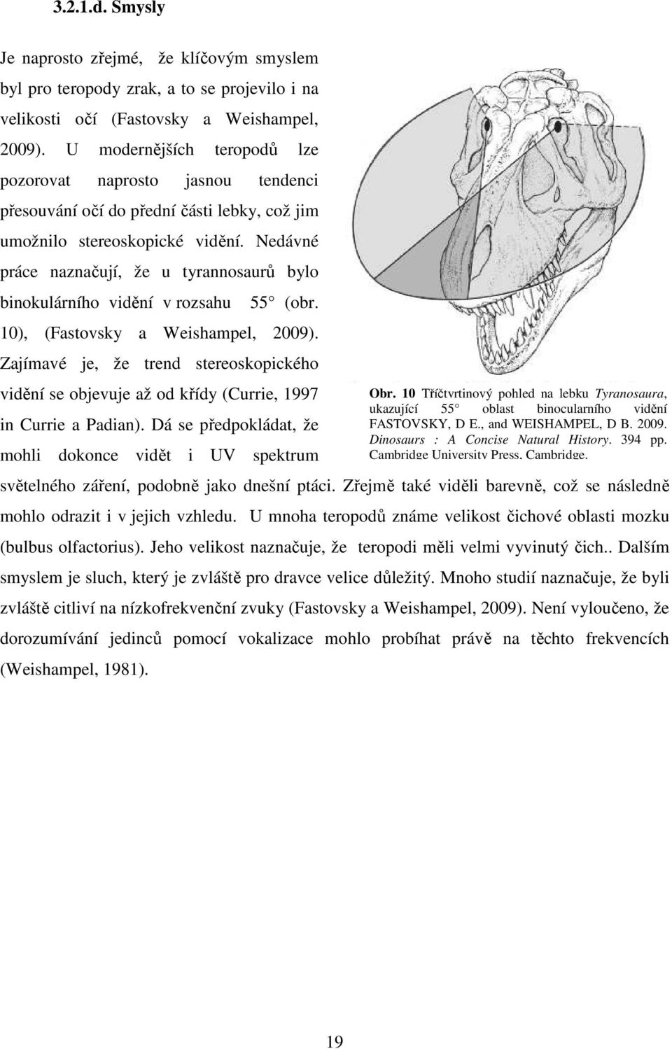 Nedávné práce naznačují, že u tyrannosaurů bylo binokulárního vidění v rozsahu 55 (obr. 10), (Fastovsky a Weishampel, 2009).