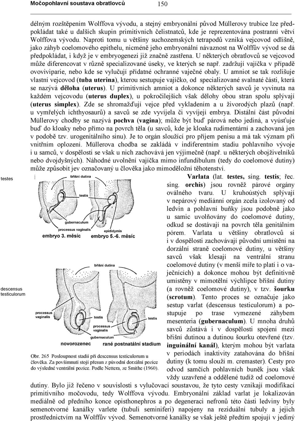 Naproti tomu u většiny suchozemských tetrapodů vzniká vejcovod odlišně, jako záhyb coelomového epithelu, nicméně jeho embryonální návaznost na Wolffův vývod se dá předpokládat, i když je v