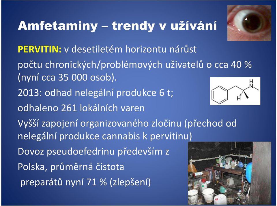 2013: odhad nelegální produkce 6 t; odhaleno 261 lokálních varen Vyšší zapojení organizovaného