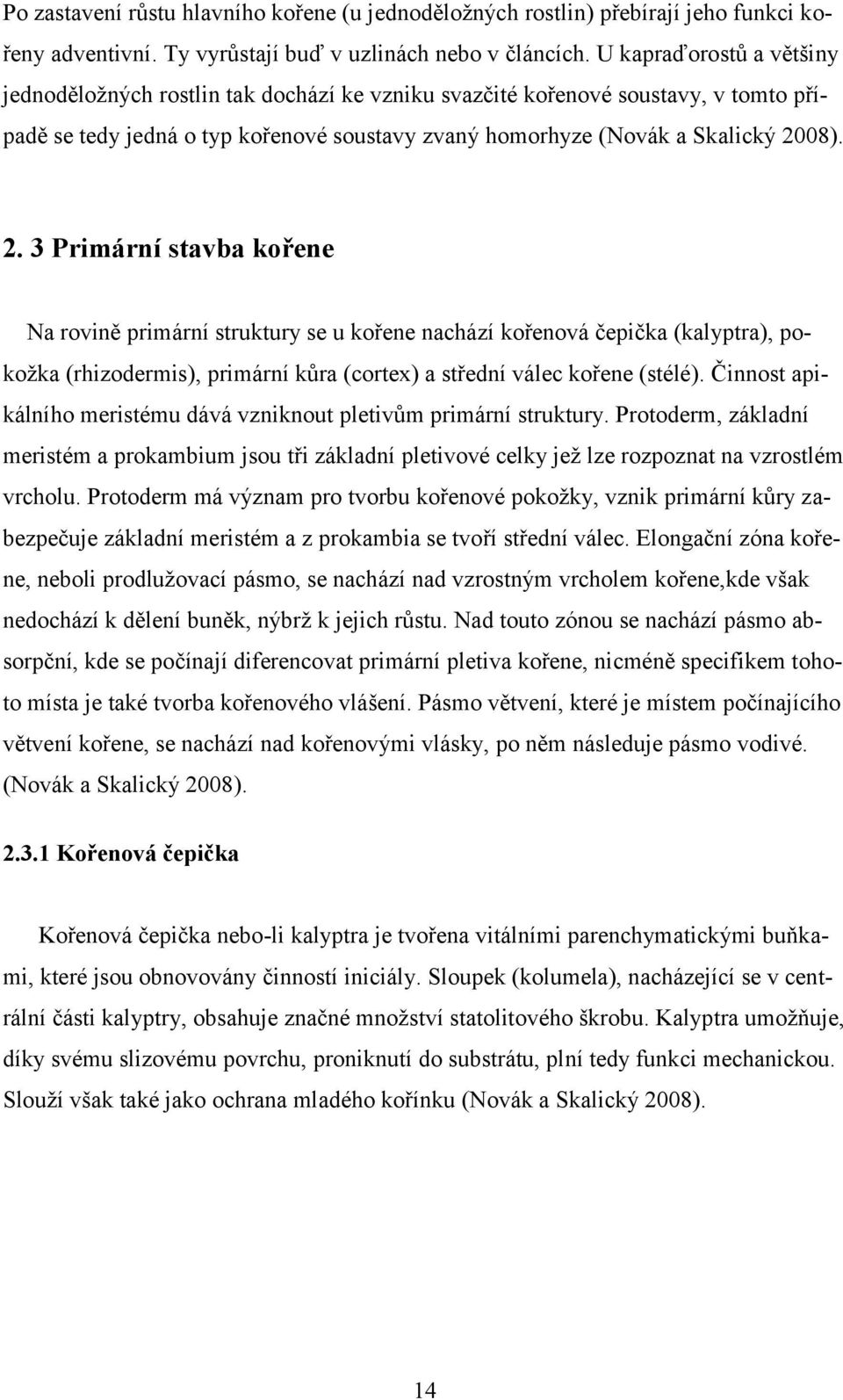 08). 2. 3 Primární stavba kořene Na rovině primární struktury se u kořene nachází kořenová čepička (kalyptra), pokožka (rhizodermis), primární kůra (cortex) a střední válec kořene (stélé).