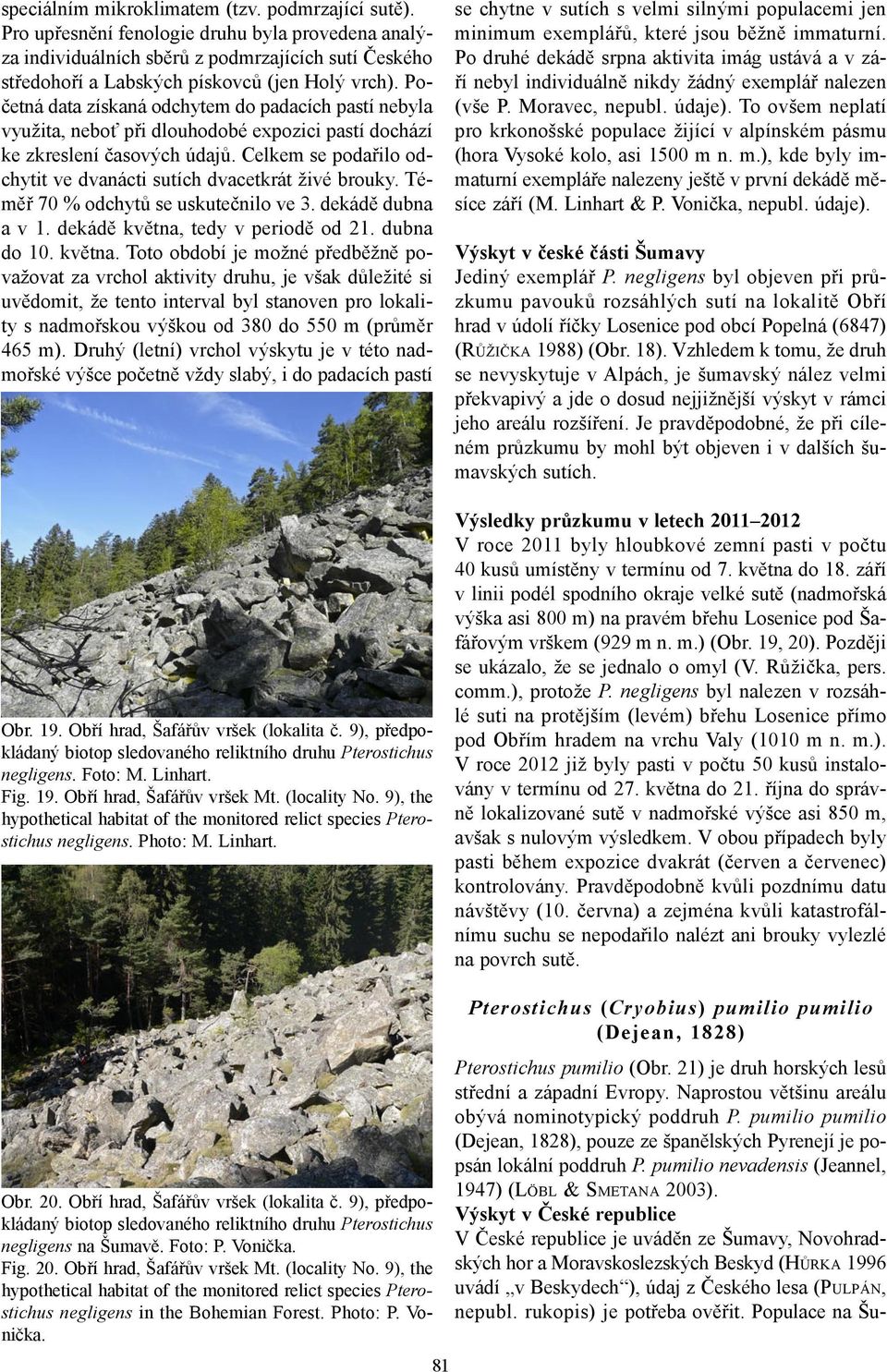 Celkem se podařilo odchytit ve dvanácti sutích dvacetkrát živé brouky. Téměř 70 % odchytů se uskutečnilo ve 3. dekádě dubna a v 1. dekádě května,