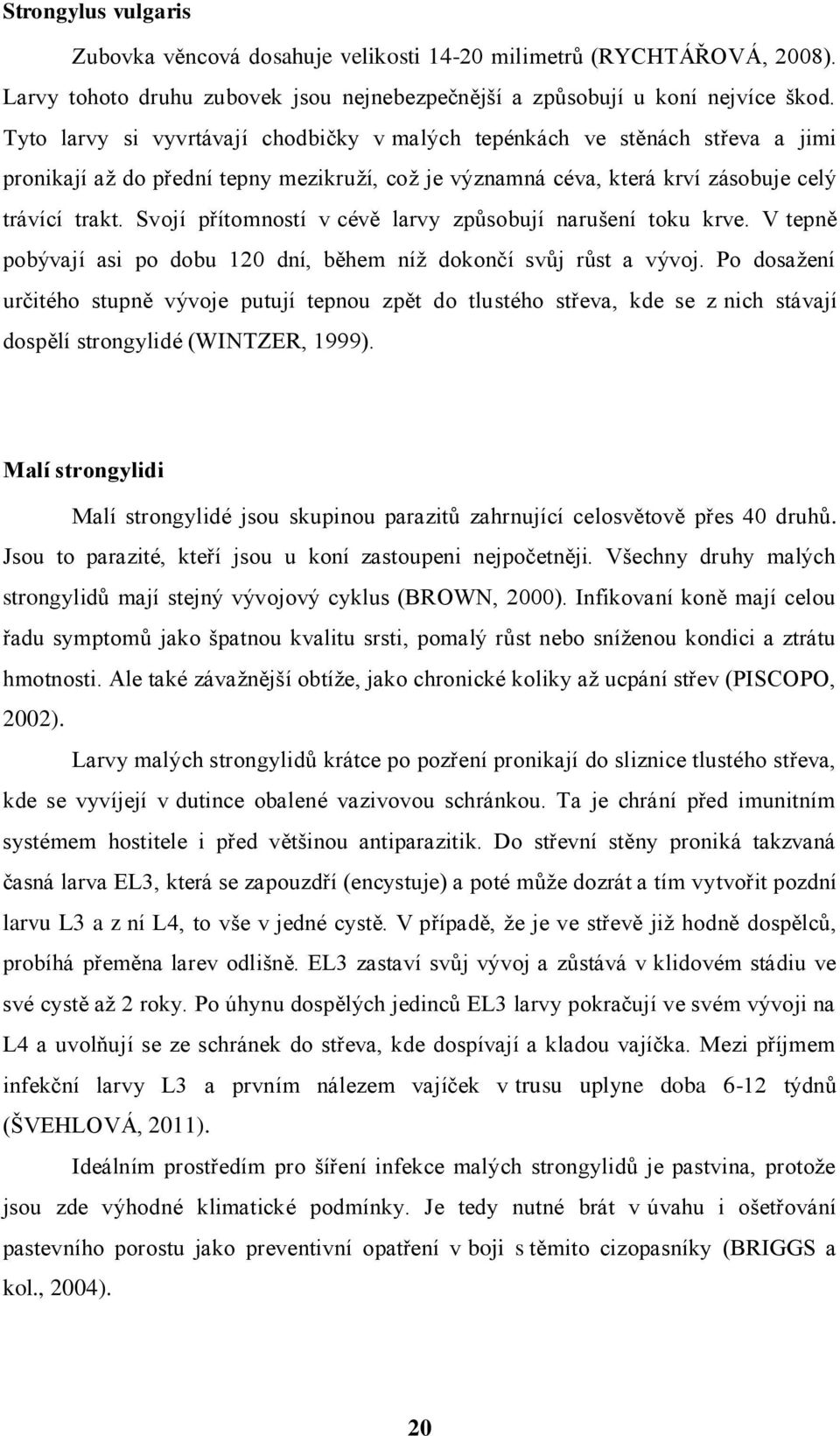 Svojí přítomností v cévě larvy způsobují narušení toku krve. V tepně pobývají asi po dobu 120 dní, během níž dokončí svůj růst a vývoj.