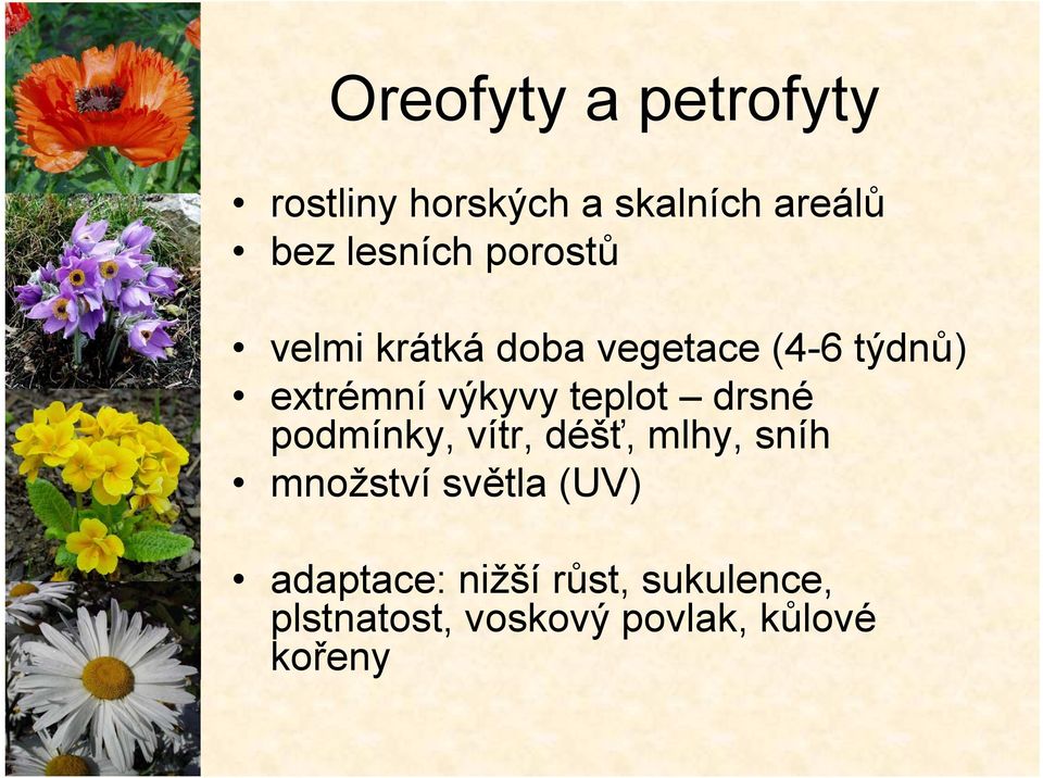 podmínky, vítr, déšť, mlhy, sníh množství světla (UV) adaptace: nižší růst