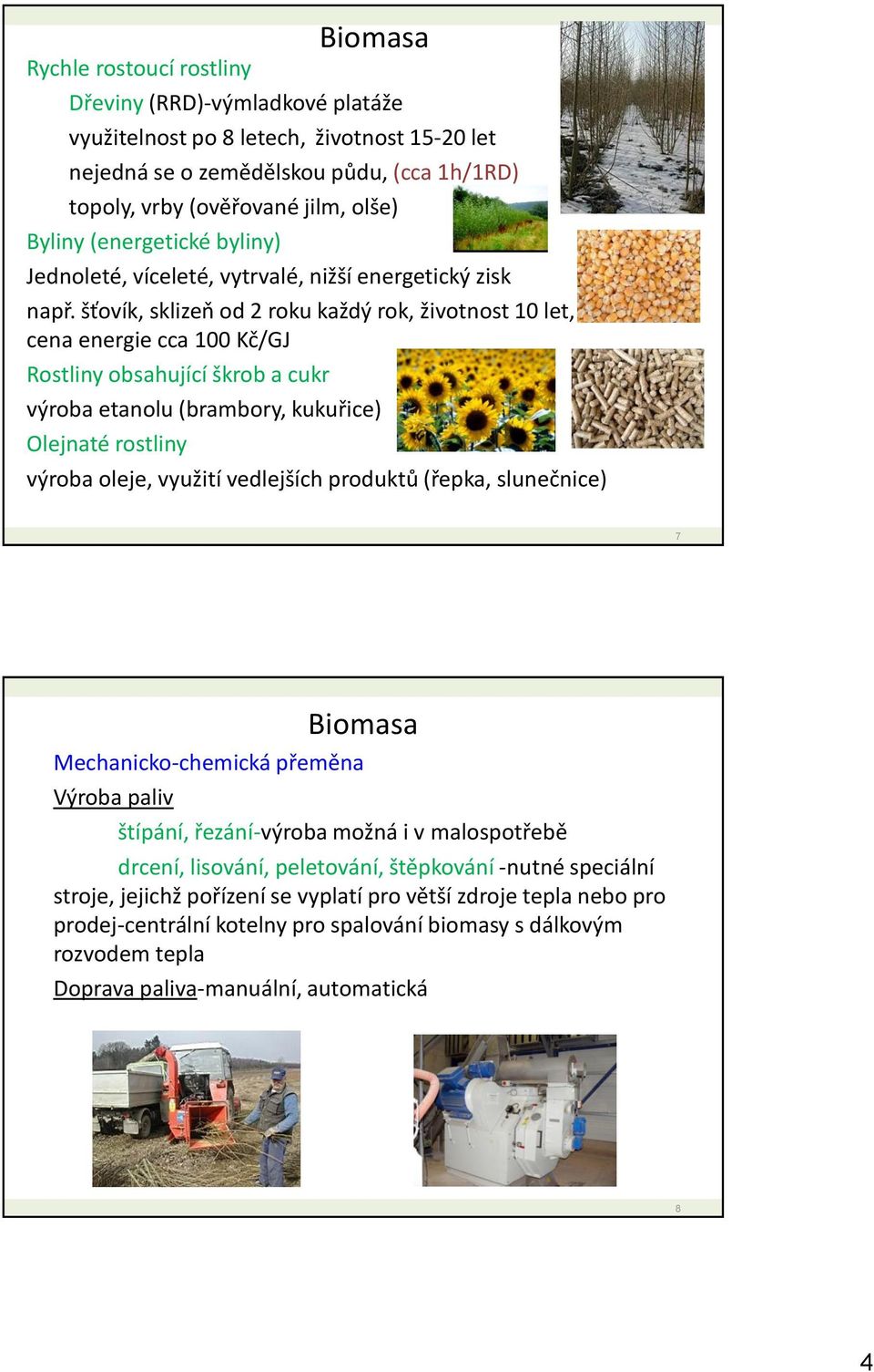 šťovík, sklizeň od 2 roku každý rok, životnost 10 let, cena energie cca 100 Kč/GJ Rostliny obsahující škrob a cukr výroba etanolu (brambory, kukuřice) Olejnaté rostliny výroba oleje, využití