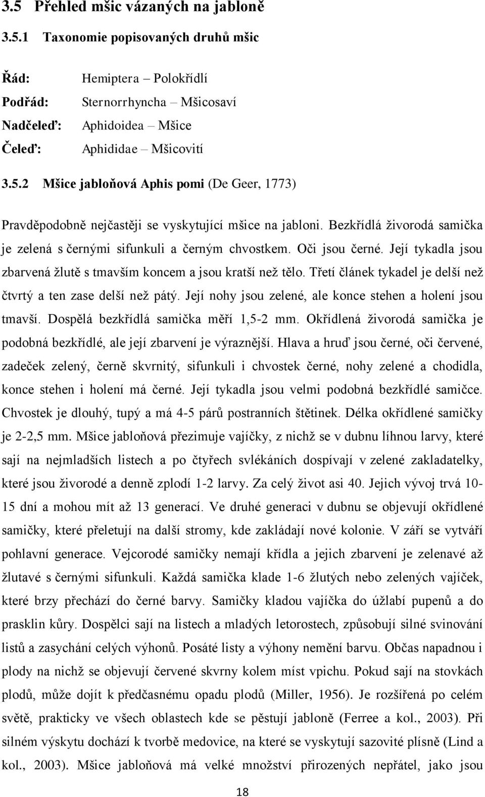 Třetí článek tykadel je delší než čtvrtý a ten zase delší než pátý. Její nohy jsou zelené, ale konce stehen a holení jsou tmavší. Dospělá bezkřídlá samička měří 1,5-2 mm.