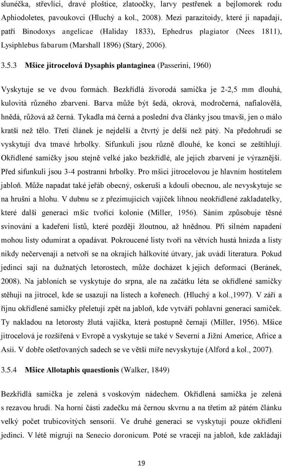 3 Mšice jitrocelová Dysaphis plantaginea (Passerini, 1960) Vyskytuje se ve dvou formách. Bezkřídlá živorodá samička je 2-2,5 mm dlouhá, kulovitá různého zbarvení.