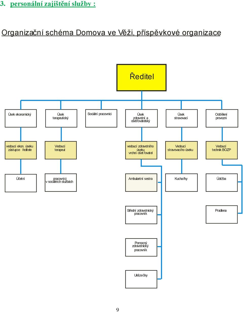 úseku zástupce ředitele Vedoucí terapeut vedoucí zdravotního úseku vrchní ošet řovatel Vedoucí stravovacího úseku Vedoucí technik
