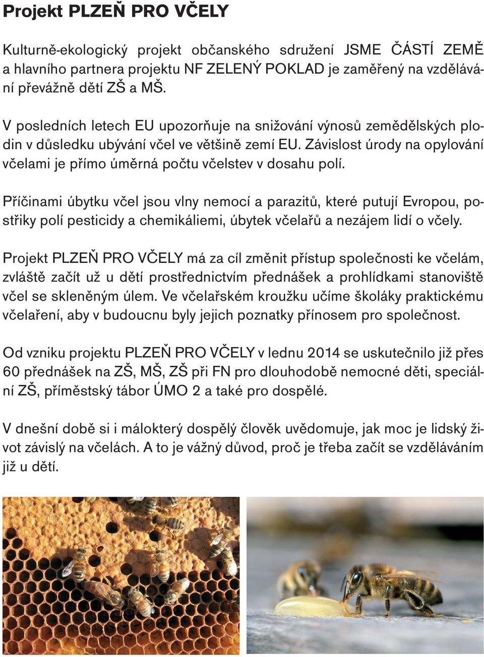 Příčinami úbytku včel jsou vlny nemocí a parazitů, které putují Evropou, postřiky polí pesticidy a chemikáliemi, úbytek včelařů a nezájem lidí o včely.