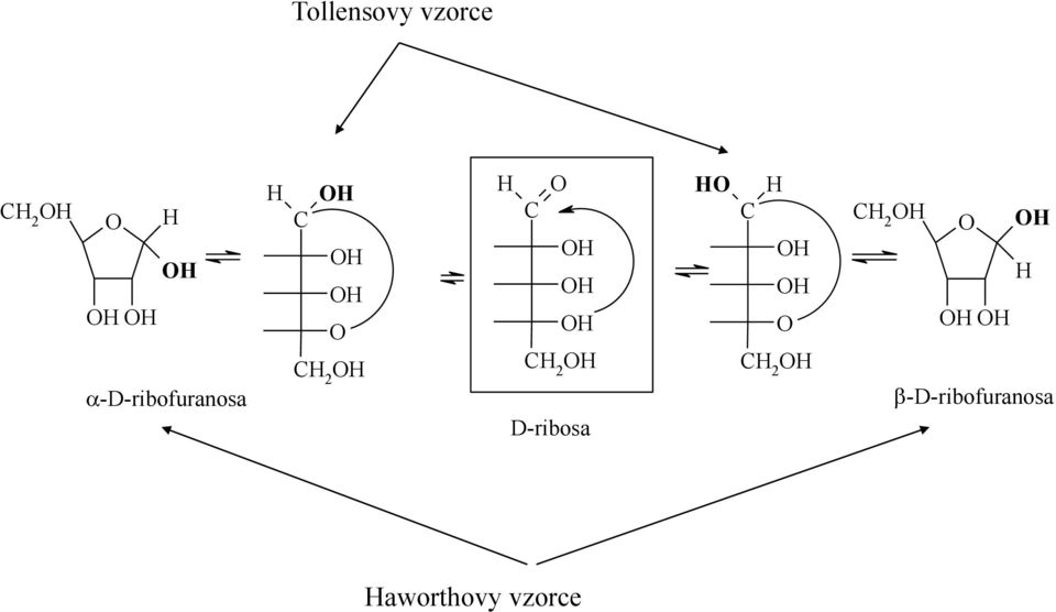 D-ribosa H H C H