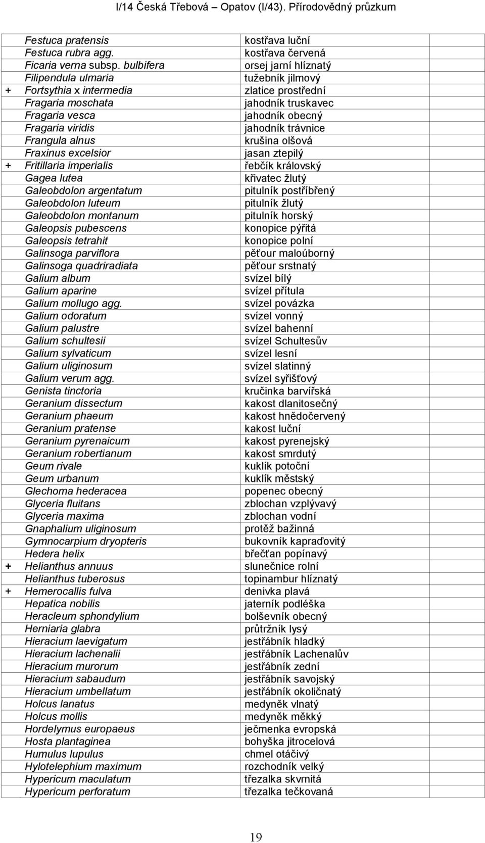 jahodník trávnice Frangula alnus krušina olšová Fraxinus excelsior jasan ztepilý + Fritillaria imperialis řebčík královský Gagea lutea křivatec žlutý Galeobdolon argentatum pitulník postříbřený