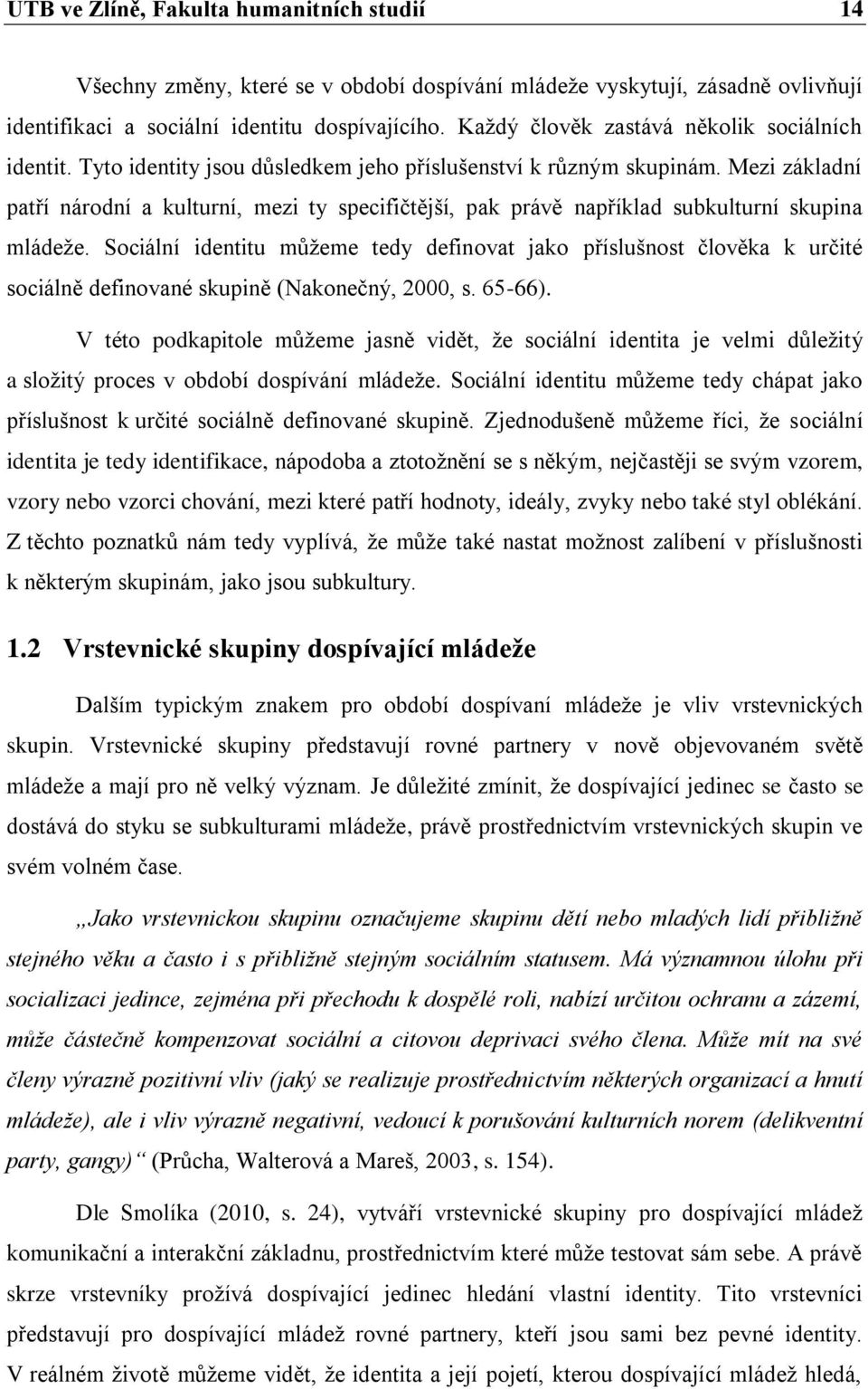 Mezi základní patří národní a kulturní, mezi ty specifičtější, pak právě například subkulturní skupina mládeže.