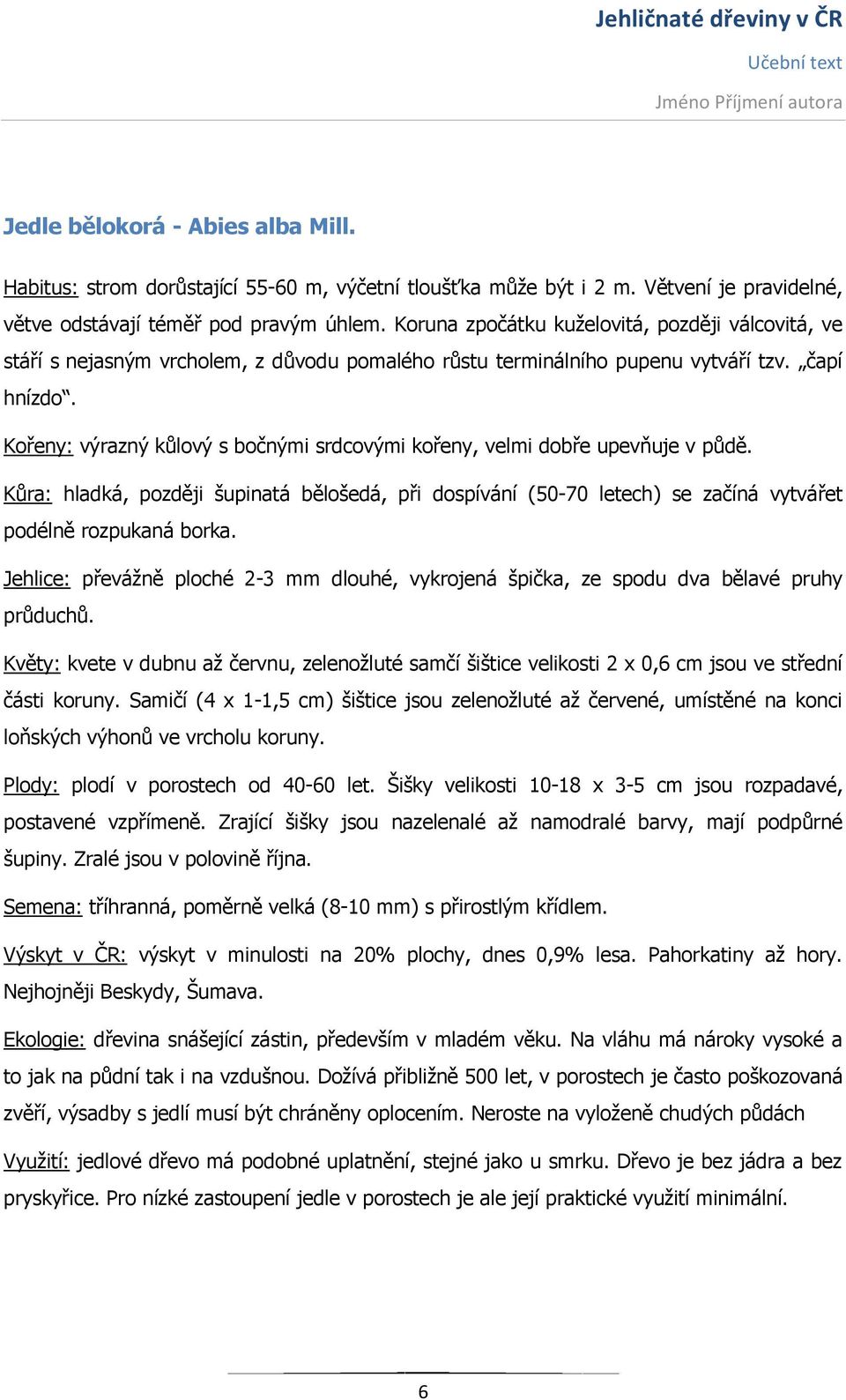 Kořeny: výrazný kůlový s bočnými srdcovými kořeny, velmi dobře upevňuje v půdě. Kůra: hladká, později šupinatá bělošedá, při dospívání (50-70 letech) se začíná vytvářet podélně rozpukaná borka.