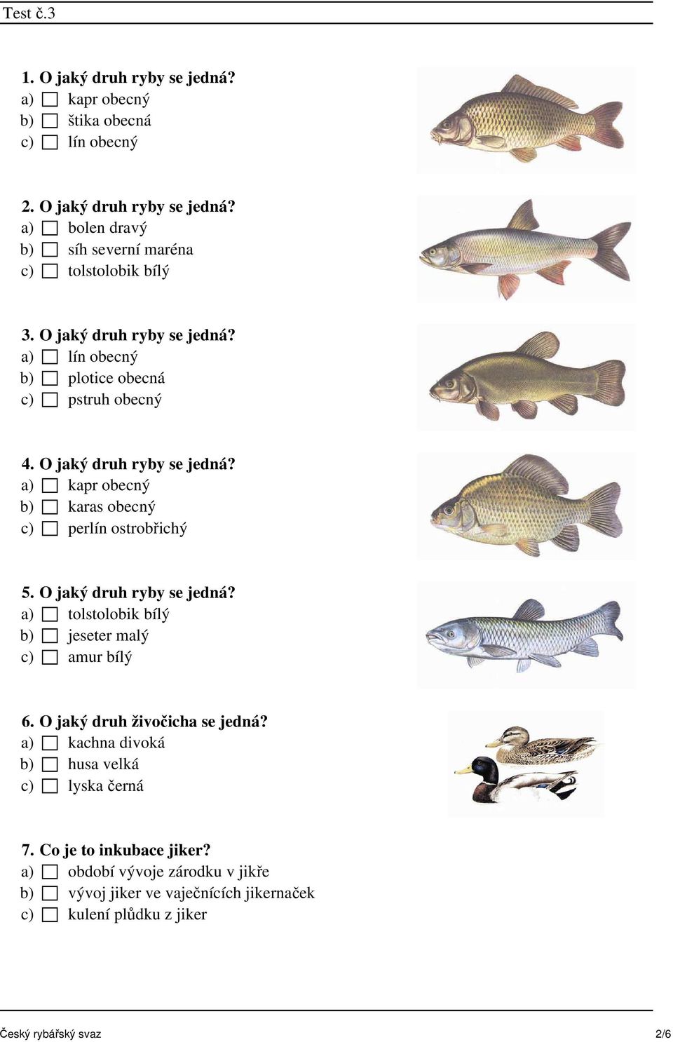 a) kapr obecný b) karas obecný c) perlín ostrobřichý 5. O jaký druh ryby se jedná? a) tolstolobik bílý b) jeseter malý c) amur bílý 6.