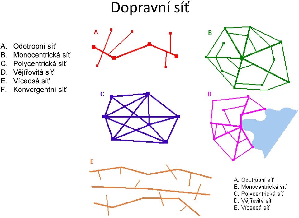 Polycentrická síť D.