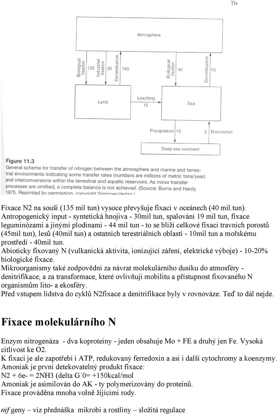 Antropogenický input - syntetická hnojiva - 30mil tun, spalování 19 mil tun, fixace leguminózami a jinými plodinami - 44 mil tun - to se blíží celkové fixaci travních porostů (45mil tun), lesů (40mil