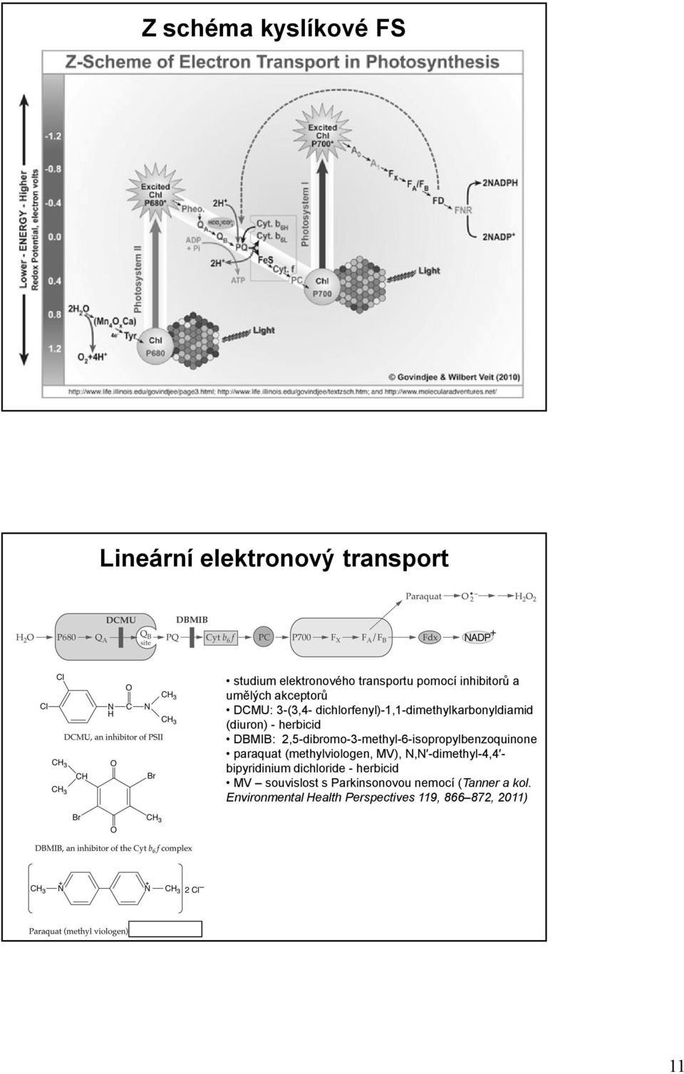 2,5-dibromo-3-methyl-6-isopropylbenzoquinone paraquat (methylviologen, MV), N,N -dimethyl-4,4 - bipyridinium