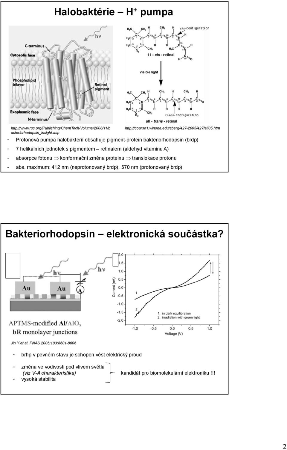 edu/sberg/427-2005/427fall05.htm - absorpce fotonu konformační změna proteinu translokace protonu - abs.