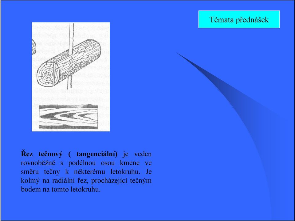 tečny k některému letokruhu.