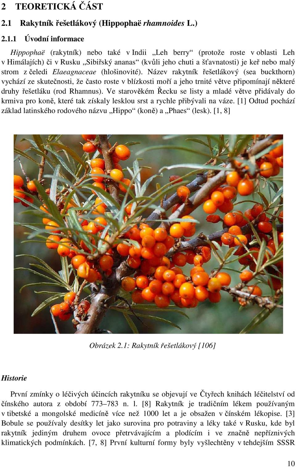 1 Úvodní informace Hippophaë (rakytník) nebo také v Indii Leh berry (protože roste v oblasti Leh v Himálajích) či v Rusku Sibiřský ananas (kvůli jeho chuti a šťavnatosti) je keř nebo malý strom z