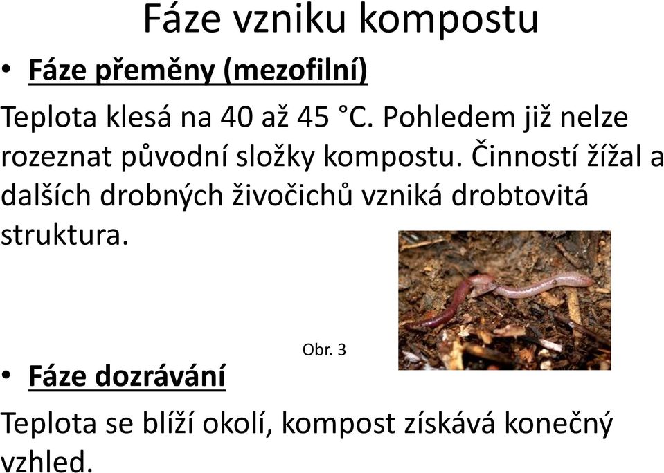 Činností žížal a dalších drobných živočichů vzniká drobtovitá