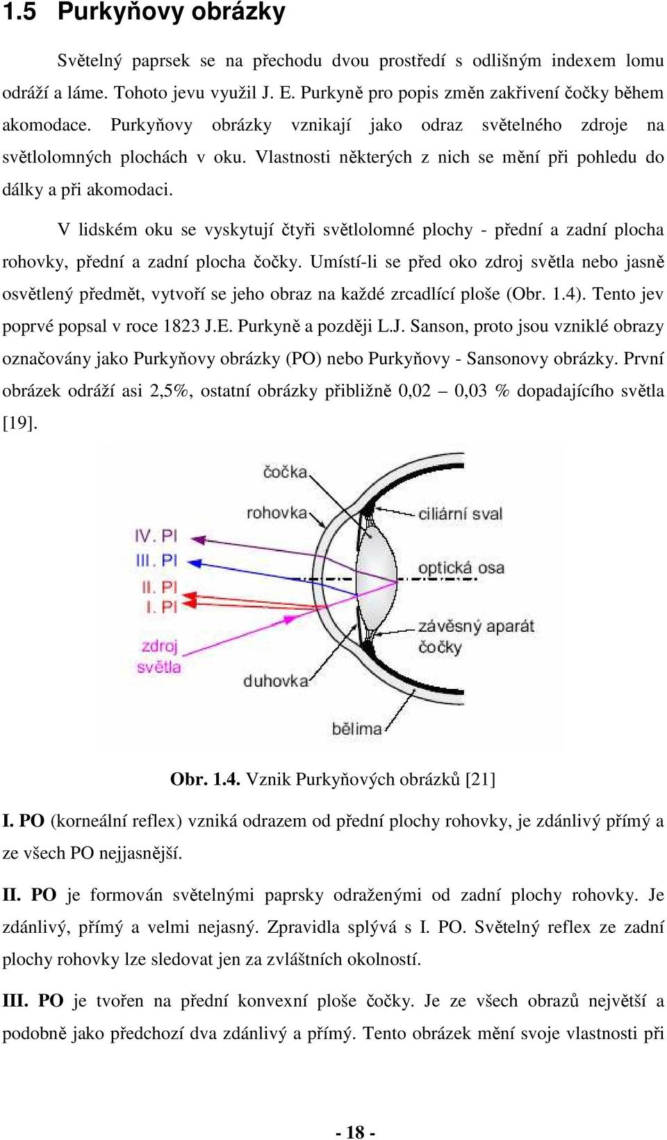 V lidském oku se vyskytují čtyři světlolomné plochy - přední a zadní plocha rohovky, přední a zadní plocha čočky.